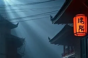 候鸟南归封面，湿地上空的雁阵与远处渔排